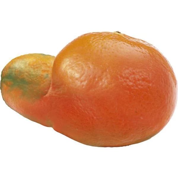 Mandarina fea, al peso, compra mínima 1 kg - 1 ud - Imagen del producto en Findit