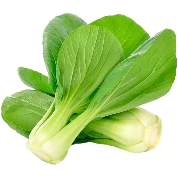 Pak Choi, pieza al peso aprox. 500 g - 1 ud - Imagen del producto en Findit