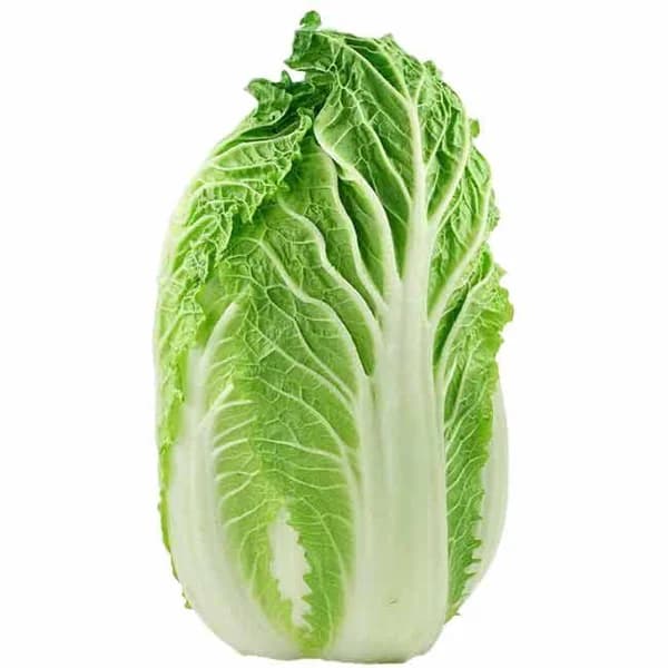 Col China, pieza al peso aprox. 1 kg - 1 ud - Imagen del producto en Findit