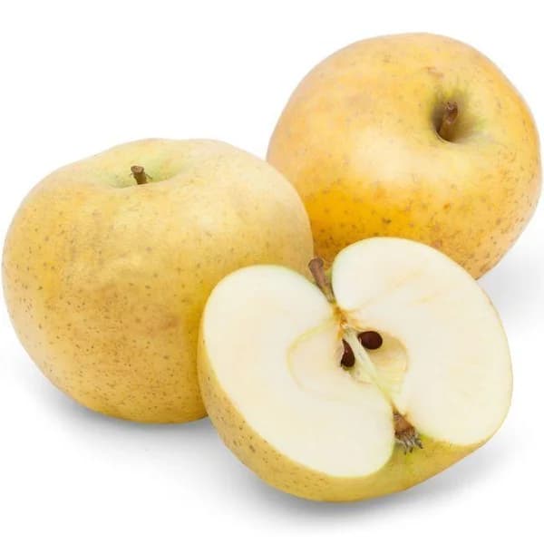 Manzana Reineta Chantecler, al peso, compra mínima 1 kg - 1 ud - Imagen del producto en Findit