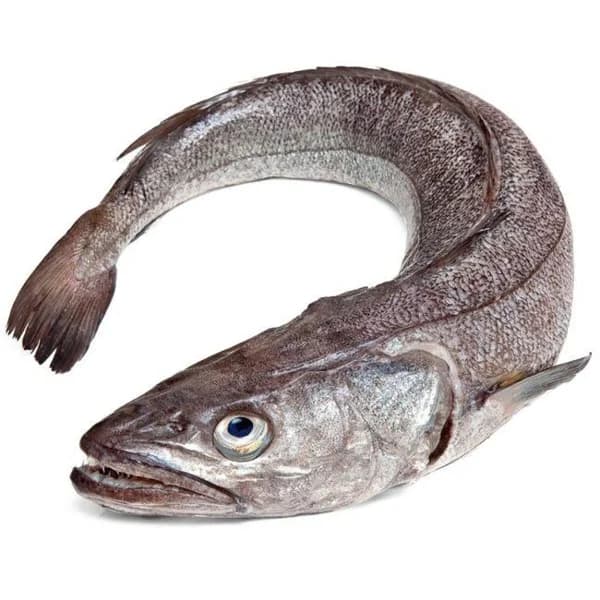 Pescadilla de costa, pieza al peso aprox. 750 g - 0.75 kg - Imagen del producto en Findit