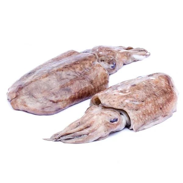 Sepia fresca, al peso, compra mínima 500 g - 0.5 kg - Imagen del producto en Findit