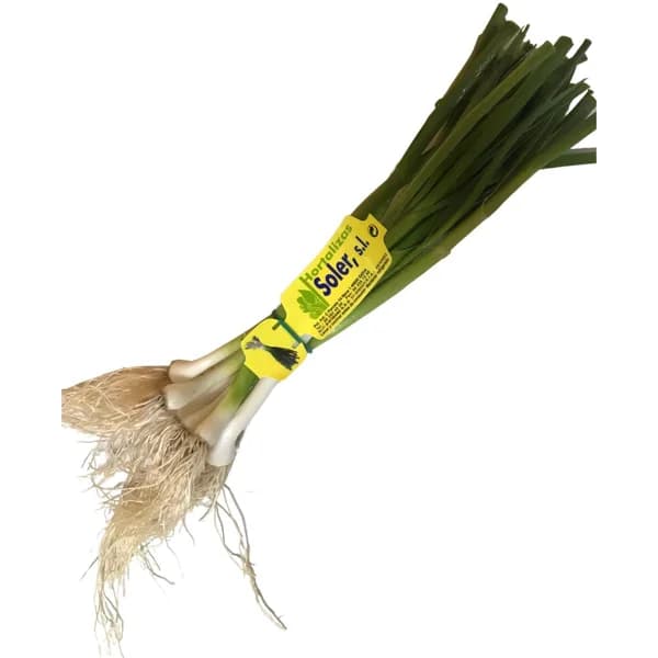 Ajo fresco HORTALIZAS SOLER, manojo 125 g - 1 ud - Imagen del producto en Findit