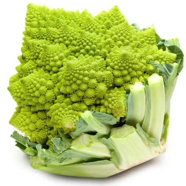Romanescu, unidad - 1 ud - Imagen del producto en Findit