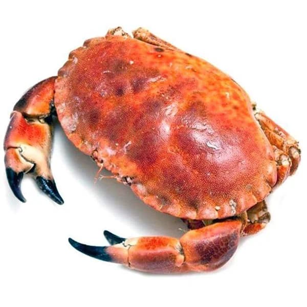 Buey, pieza al peso, compra mínima 800 g - 0.8 kg - Imagen del producto en Findit