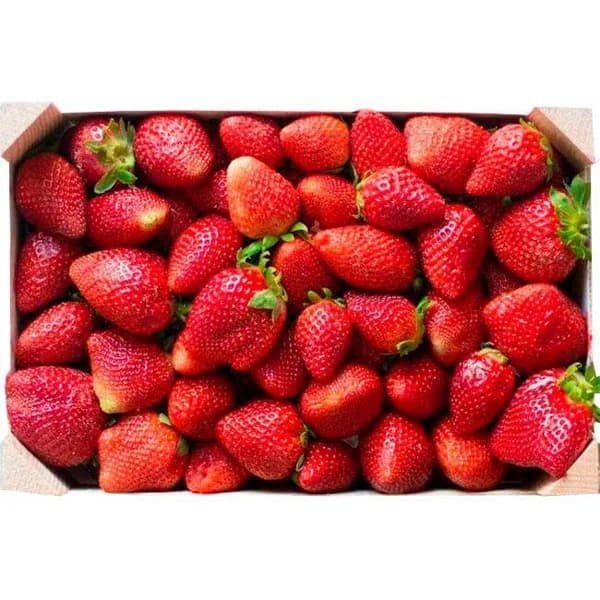 Fresa, caja 1 kg - 1 ud - Imagen del producto en Findit