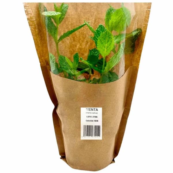 Cono de menta GROOTS, 1 ud - 1 ud - Imagen del producto en Findit