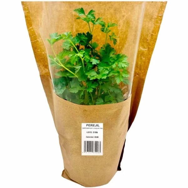 Cono de perejil GROOTS, 1 ud - 1 ud - Imagen del producto en Findit