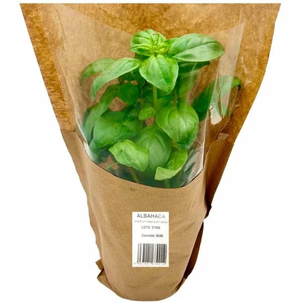 Cono de albahaca GROOTS, 1 ud - 1 ud - Imagen del producto en Findit