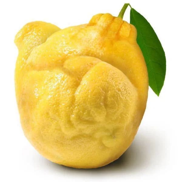 Limón feo, al peso, compra mínima 500 g - 1 ud - Imagen del producto en Findit