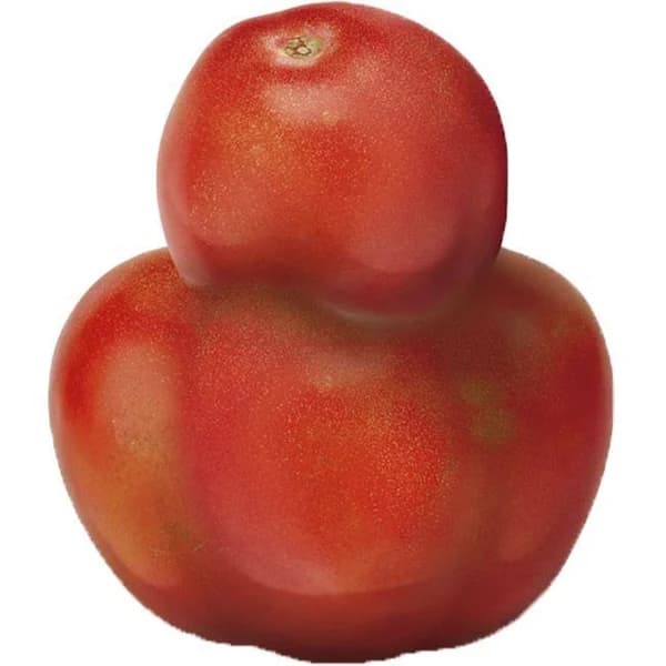 Tomate feo, al peso, compra mínima 500 g - 1 ud - Imagen del producto en Findit
