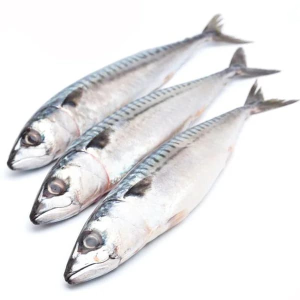 Caballa-Verdel, al peso, compra mínima 500 g - 0.5 kg - Imagen del producto en Findit