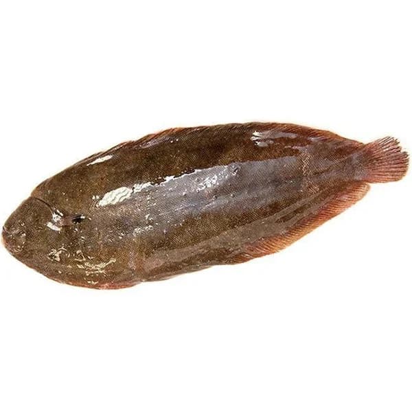 Lenguado cultivo a filetes de crianza, al peso compra mínima 500 g - 0.5 kg - Imagen del producto en Findit