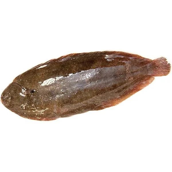 Lenguado senegalés 400-800, al peso, compra mínima 600 g - 0.6 kg - Imagen del producto en Findit