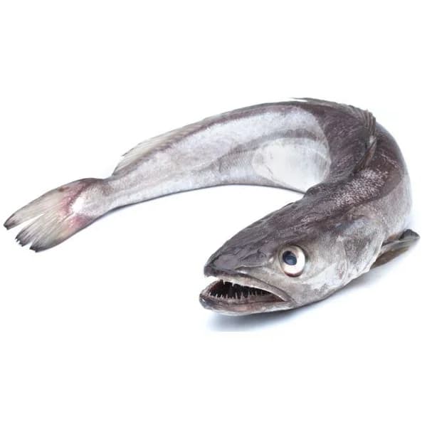 Merluza de anzuelo entera y limpia, al peso, compra mínima 1.9 kg - 1.9 kg - Imagen del producto en Findit