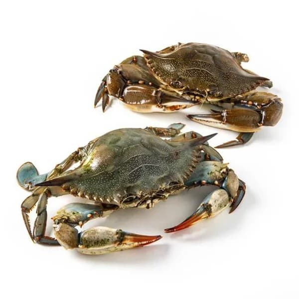 Cangrejo azul, dos piezas, al peso compra mínima 500 g - 0.5 kg - Imagen del producto en Findit