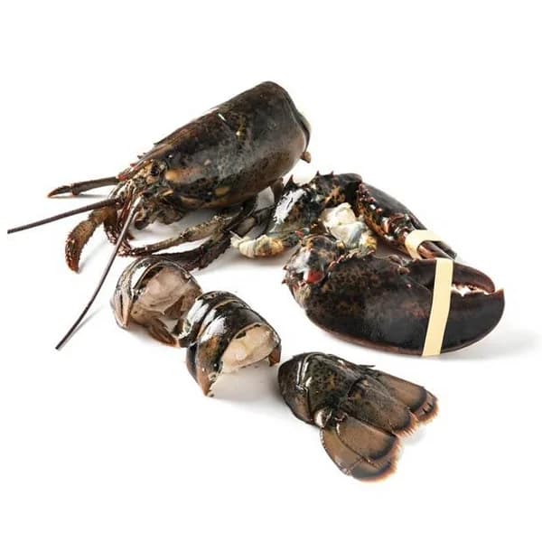 Bogavante de Canadá en rodajas, pieza - 1 ud - Imagen del producto en Findit