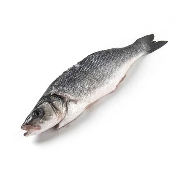 Lubina para la sal de crianza E.NATUR GGN, pieza aprox. 350 g - 0.35 kg - Imagen del producto en Findit