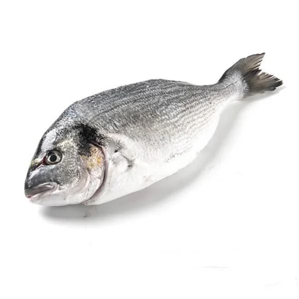 Dorada para la sal de crianza E.NATUR GGN, pieza aprox. 350 g - 0.35 kg - Imagen del producto en Findit