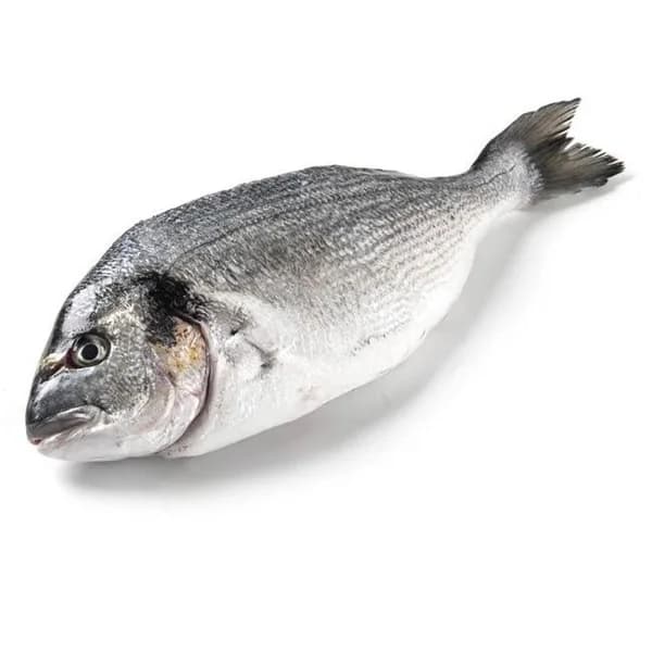 Dorada para la sal de crianza E.NATUR GGN, pieza aprox. 500 g - 0.5 kg - Imagen del producto en Findit