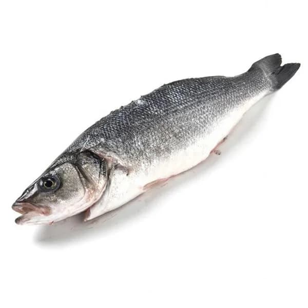 Lubina para la sal de crianza E.NATUR GGN, pieza aprox. 500 g - 0.5 kg - Imagen del producto en Findit