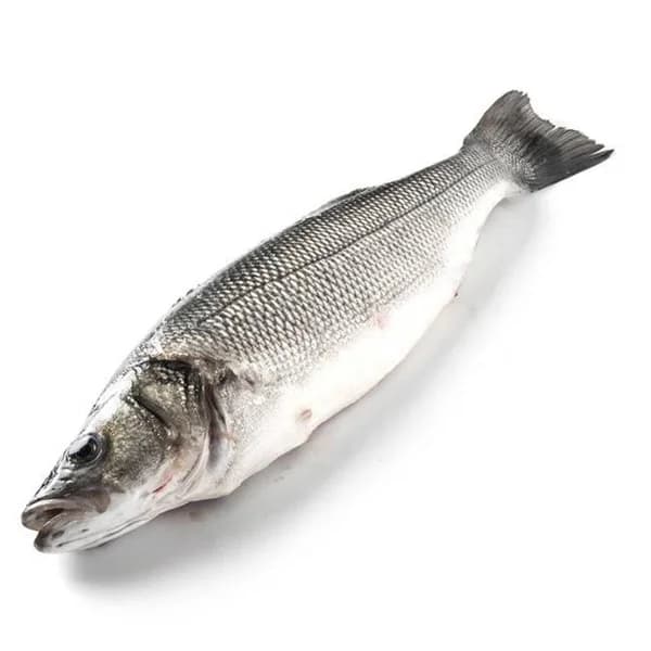 Lubina para la sal crianza E.NATUR GGN, al peso, compra mínima 1.5 kg - 1.5 kg - Imagen del producto en Findit