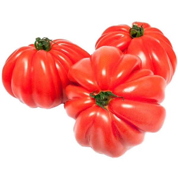 Tomate corazón de buey, al peso, compra mínima 1 kg - 1 kg - Imagen del producto en Findit