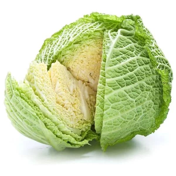 Col rizada Catalunya, pieza al peso aprox. 1.5 kg - 1.5 kg - Imagen del producto en Findit