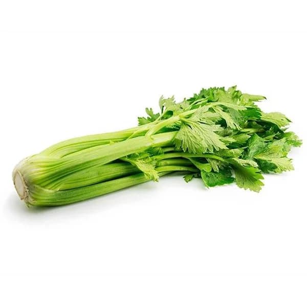 Apio verde manojo - 1 ud - Imagen del producto en Findit
