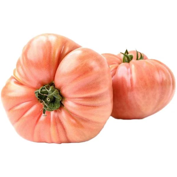 Tomate tipo Barbastro, al peso, compra mínima - 1 ud - Imagen del producto en Findit