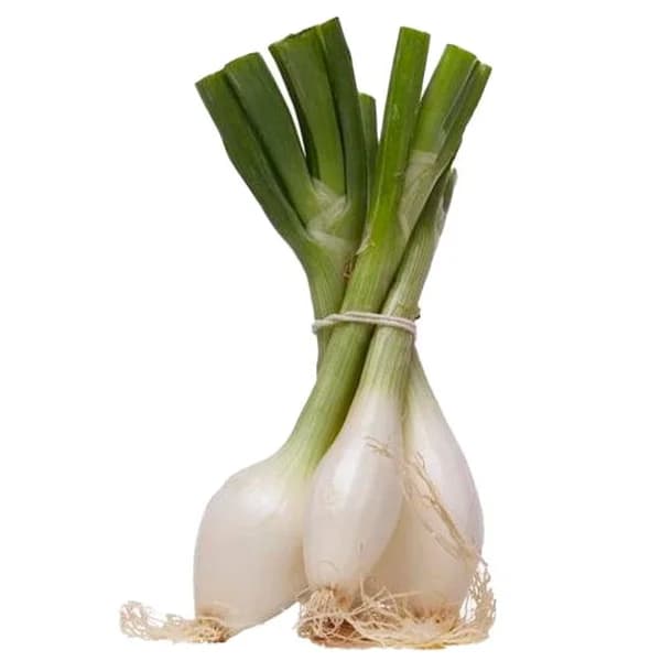 Cebollas tierna CONCA, manojo 3 uds - 3 ud - Imagen del producto en Findit
