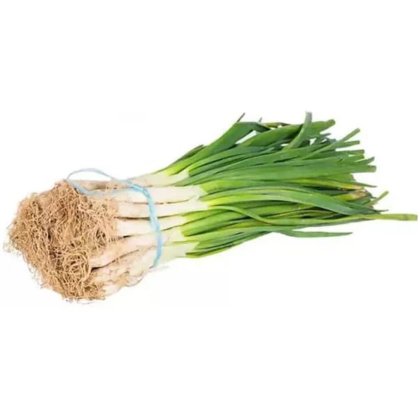 Calçots CATALUNYA, manojo 25 uds - 1 ud - Imagen del producto en Findit