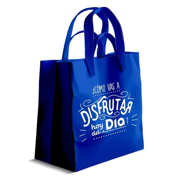 Bolsa de rafia 4 asas Dia 1 unidad - 1 ud - Imagen del producto en Findit