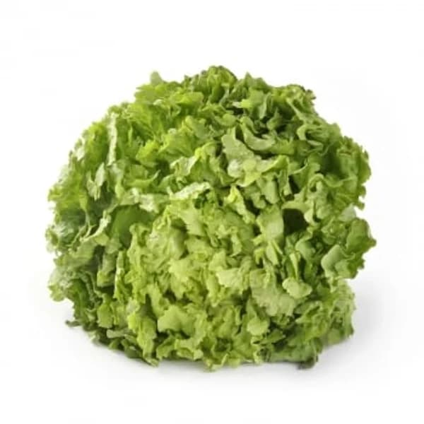 Lechuga batavia verde 1 ud - 1 ud - Imagen del producto en Findit