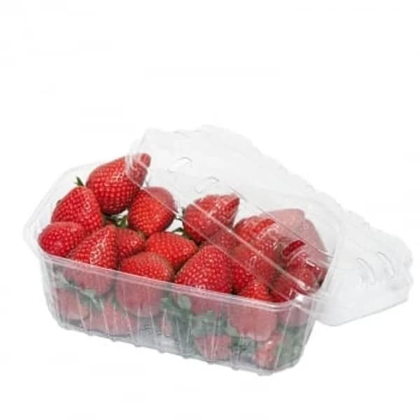 Fresón tarrina origen Huelva 500 g - 0.5 kg - Imagen del producto en Findit