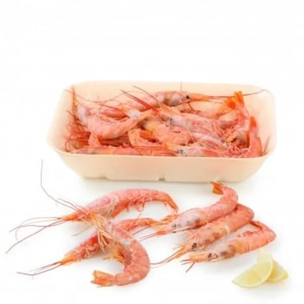 Gambón salvaje 2 kg - 2 kg - Imagen del producto en Findit