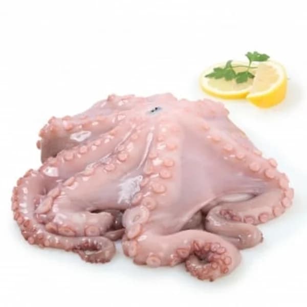 Pulpo crudo Carrefour 2,5 kg aprox - 2.5 kg - Imagen del producto en Findit