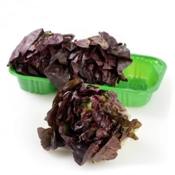 Cogollos rojos Carrefour 3 ud - 0.35 kg - Imagen del producto en Findit