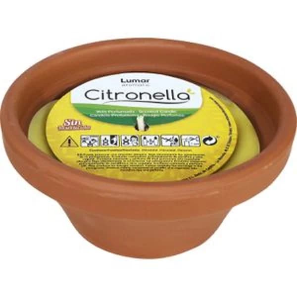 Plato Terracota Citronella - 1 ud - Imagen del producto en Findit