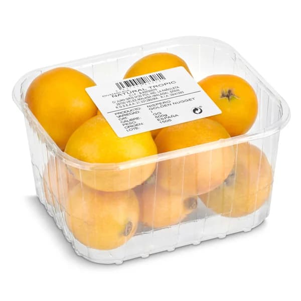 Níspero bandeja 500 g - 1 ud - Imagen del producto en Findit