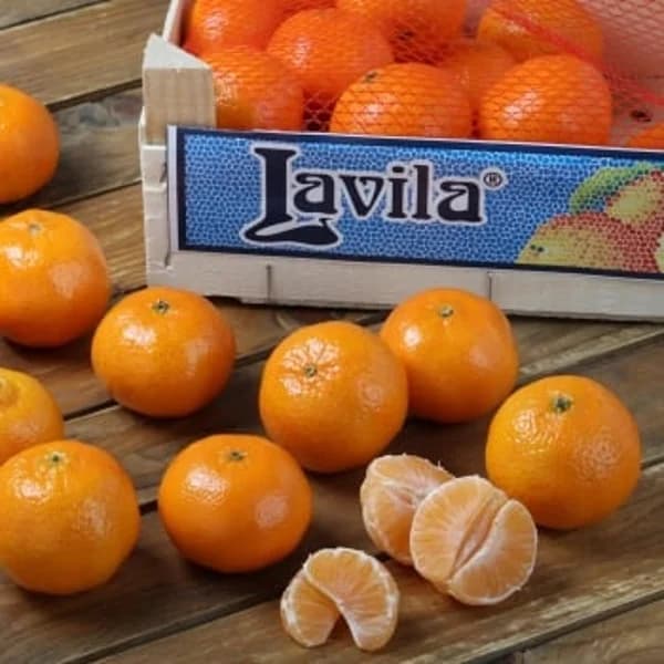Mandarina selecta a granel caja 1 kg aprox - 1 kg - Imagen del producto en Findit