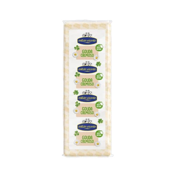 Queso gouda MILLÁN VICENTE - Loncha fina 1 mm - 1 ud - Imagen del producto en Findit