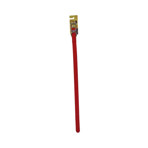 PRODUCTO ALCAMPO Collar de 2.5 cm. rojo, para perro mediano (40 - 60 cm). - 1 ud - Imagen del producto en Findit