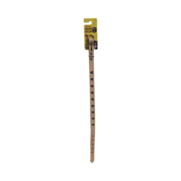 PRODUCTO ALCAMPO Collar (2 cm) de cuero y metal, de color natural, para perros M - L (40 - 48 cm). - 1 ud - Imagen del producto en Findit