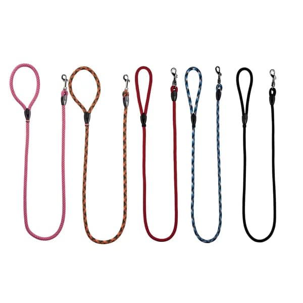 ARPPE Correa de nylon de cordón de 110 centímetros para perros de talla pequeña ARPPE 1 ud. - 1 ud - Imagen del producto en Findit
