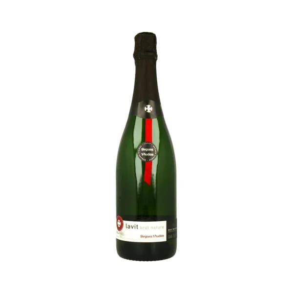 SEGURA VIUDAS Cava brut nature botella de 75 cl. - 1 ud - Imagen del producto en Findit