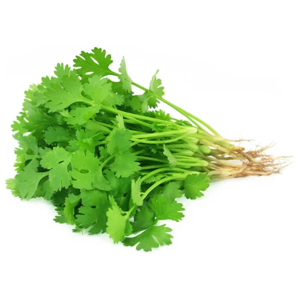 Cilantro manojo 1ud. - 1 ud - Imagen del producto en Findit