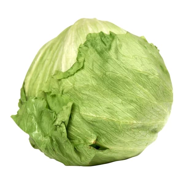 Lechuga iceberg - 0.4 kg - Imagen del producto en Findit