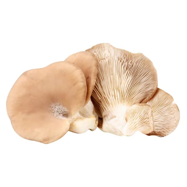 Setas barqueta 400 g. - 0.4 kg - Imagen del producto en Findit