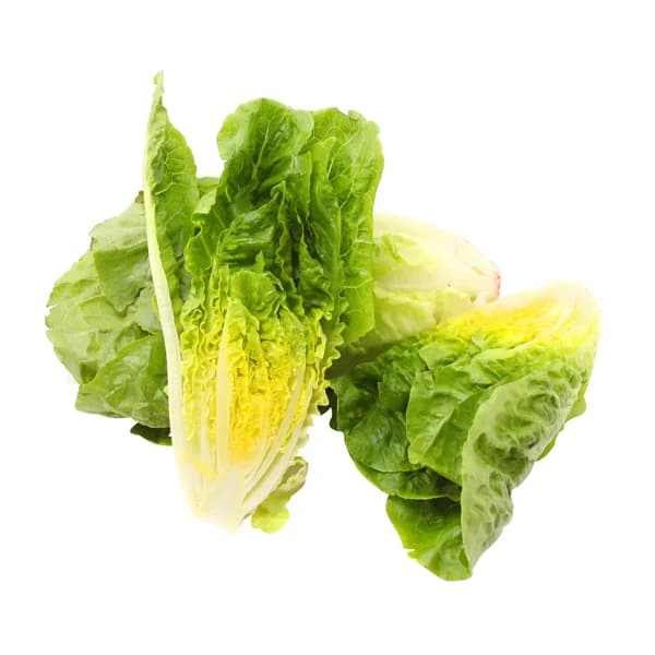 Corazón de lechuga romana 2 uds - 0.6 kg - Imagen del producto en Findit